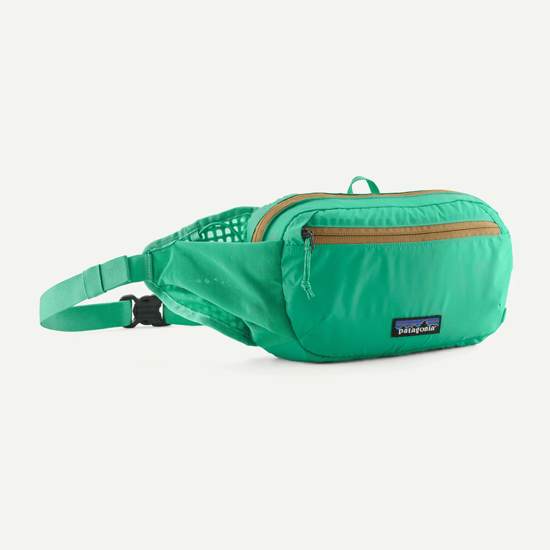 Load image into Gallery viewer, Green waist bag with Patagonia logo on a white background