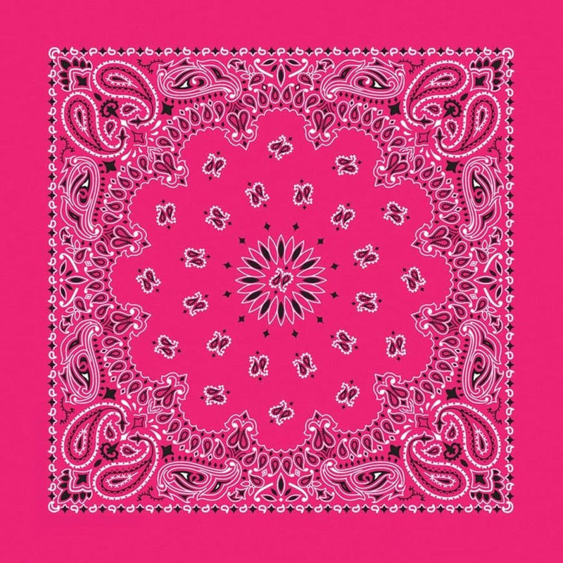 Load image into Gallery viewer, Bandana XL 35 x 35 Cotton