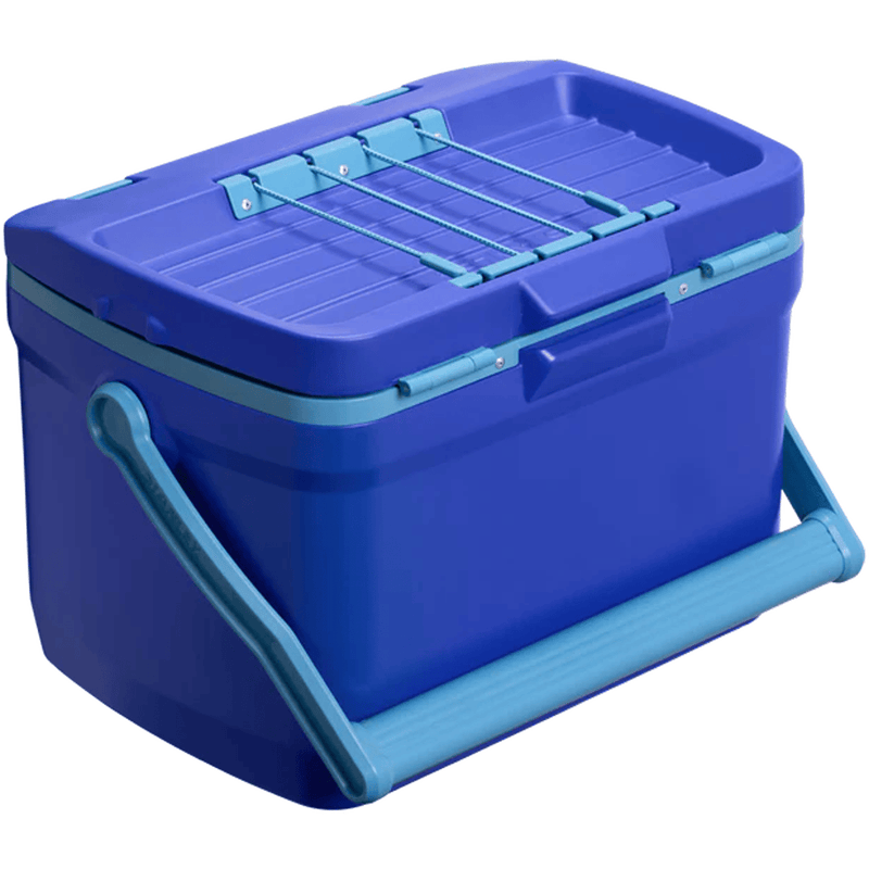 Load image into Gallery viewer, Blue storage box with a handle on a white background