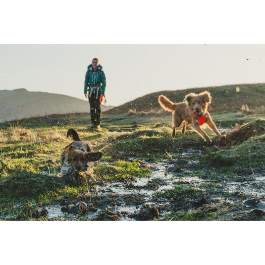 Ruffwear Front Range Harness