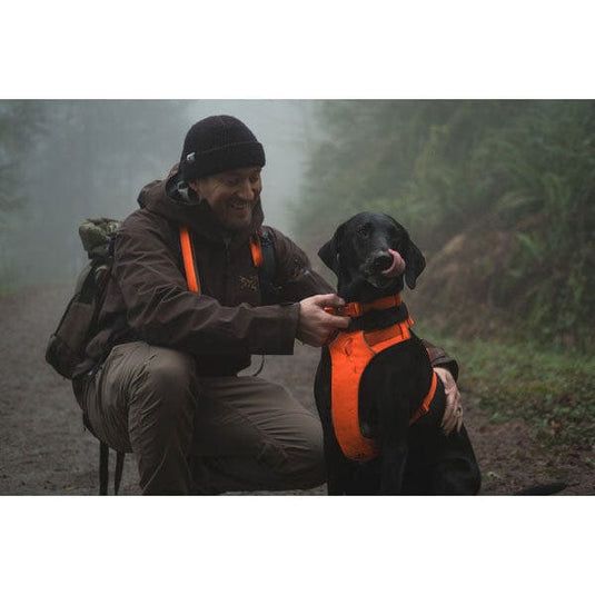 Ruffwear Front Range Harness