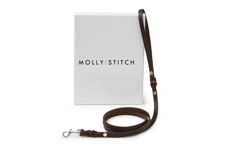 Load image into Gallery viewer, Butter Leather City Dog Leash - Classic Brown by Molly And Stitch US