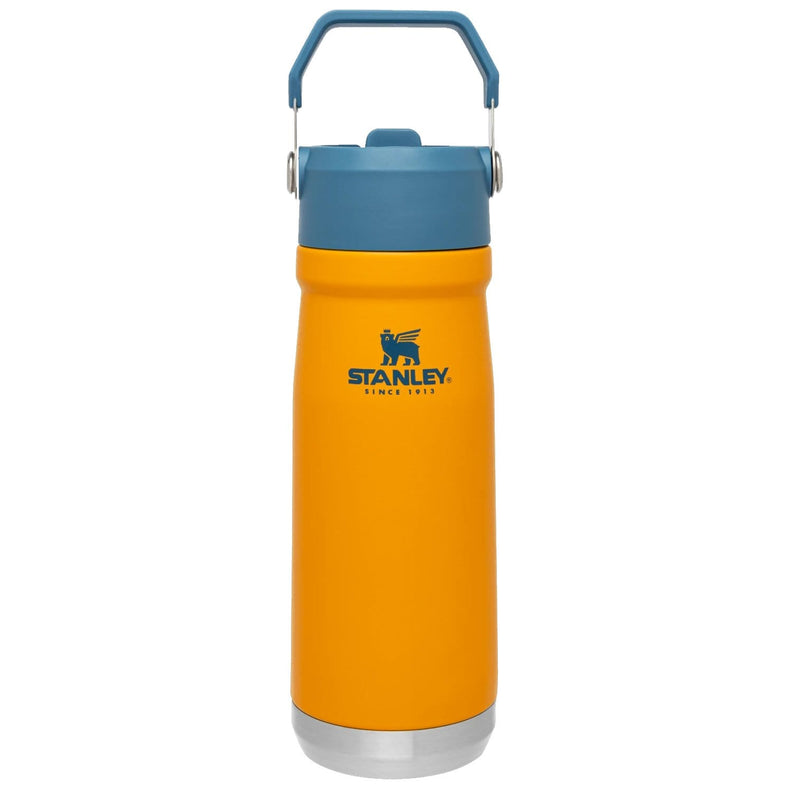 Load image into Gallery viewer, Stanley The IceFlow Flip Straw 22oz. Water Bottle