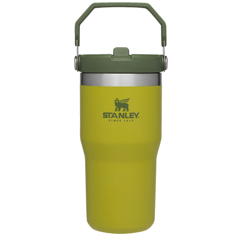 Load image into Gallery viewer, Stanley The IceFlow Flip Straw 20 oz. Tumbler
