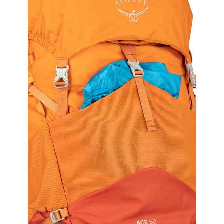 Load image into Gallery viewer, Osprey Ace 50 Kids' Backpacking For 8-14 Years Old
