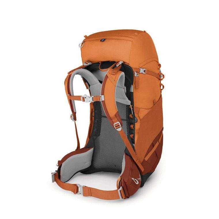 Load image into Gallery viewer, Osprey Ace 50 Kids' Backpacking For 8-14 Years Old