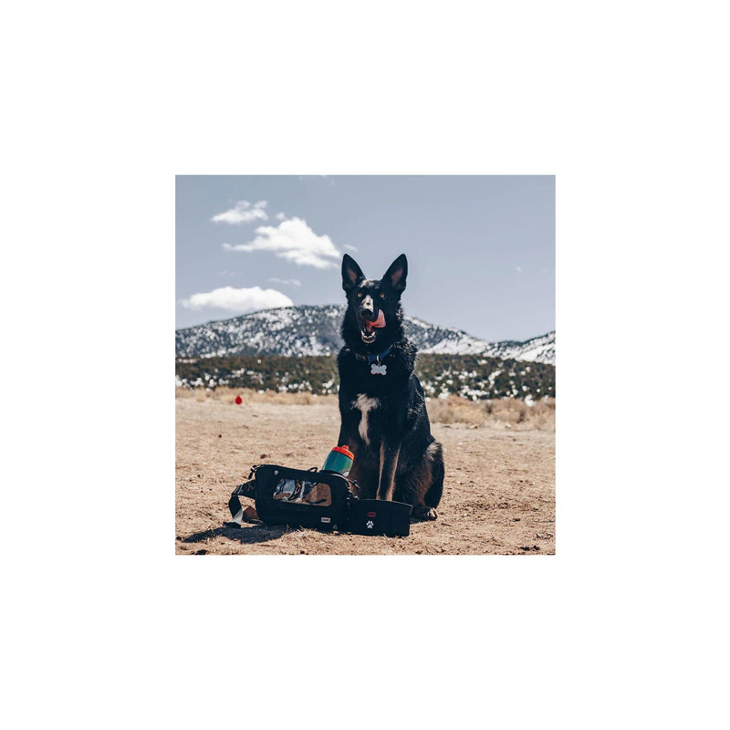 Load image into Gallery viewer, Chums Trail Dawg Waistpack