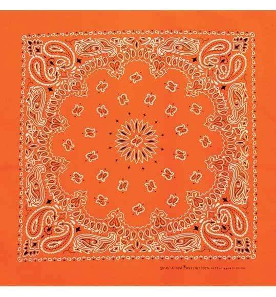 Load image into Gallery viewer, Neon Paisley Bandanas