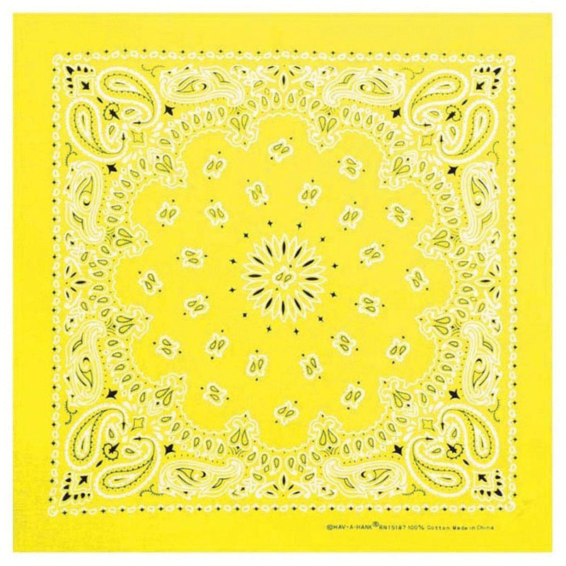 Load image into Gallery viewer, Neon Paisley Bandanas