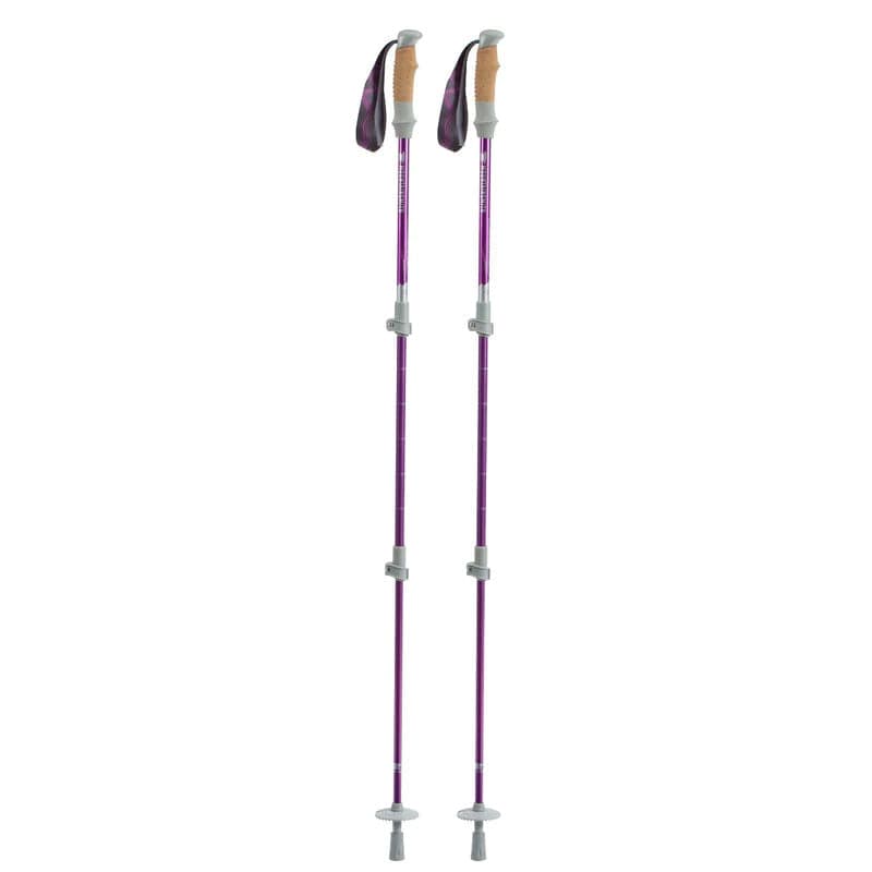 Load image into Gallery viewer, Mountainsmith Tellurite 7075 OLS Trekking Poles