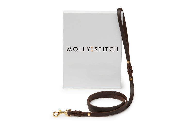 Load image into Gallery viewer, Butter Leather City Dog Leash - Classic Brown by Molly And Stitch US