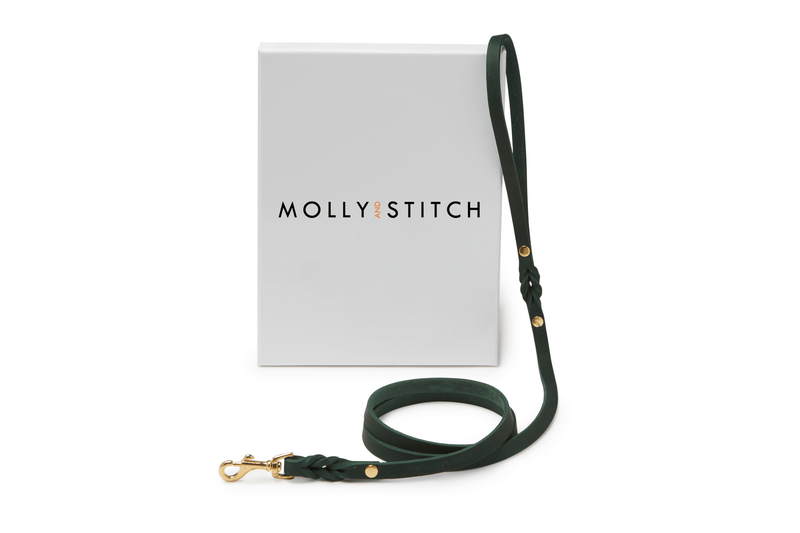 Load image into Gallery viewer, Butter Leather City Dog Leash - Forest Green by Molly And Stitch US