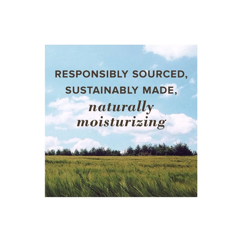 Load image into Gallery viewer, Burt's Bees Best of Burt's Lip Balm 4-Pack