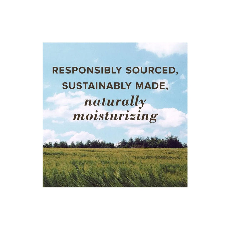 Load image into Gallery viewer, Burt's Bees Cooling Eucalyptus Rescue Balm