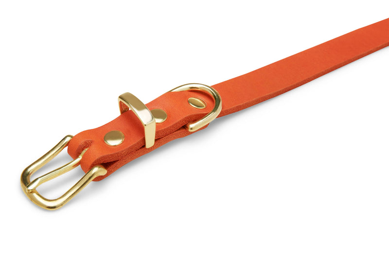 Load image into Gallery viewer, Butter Leather Dog Collar - Mango by Molly And Stitch US