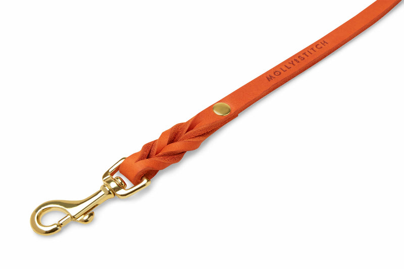 Load image into Gallery viewer, Butter Leather 3x Adjustable Dog Leash - Mango by Molly And Stitch US