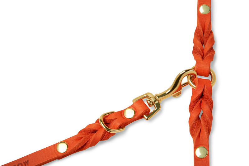 Load image into Gallery viewer, Butter Leather 3x Adjustable Dog Leash - Mango by Molly And Stitch US