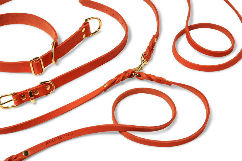 Load image into Gallery viewer, Butter Leather 3x Adjustable Dog Leash - Mango by Molly And Stitch US