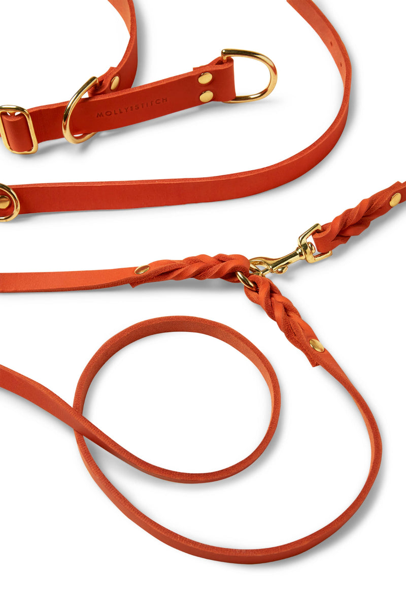 Load image into Gallery viewer, Butter Leather 3x Adjustable Dog Leash - Mango by Molly And Stitch US