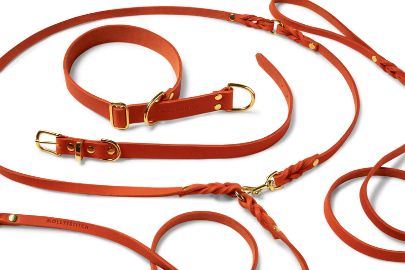 Load image into Gallery viewer, Butter Leather 3x Adjustable Dog Leash - Mango by Molly And Stitch US