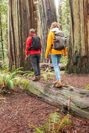 Load image into Gallery viewer, CamelBak Rim Runner 22 85 oz Hydration Pack