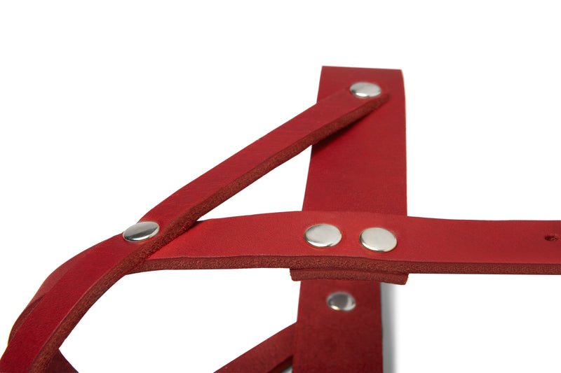 Load image into Gallery viewer, Butter Leather Dog Harness - Chili Red by Molly And Stitch US