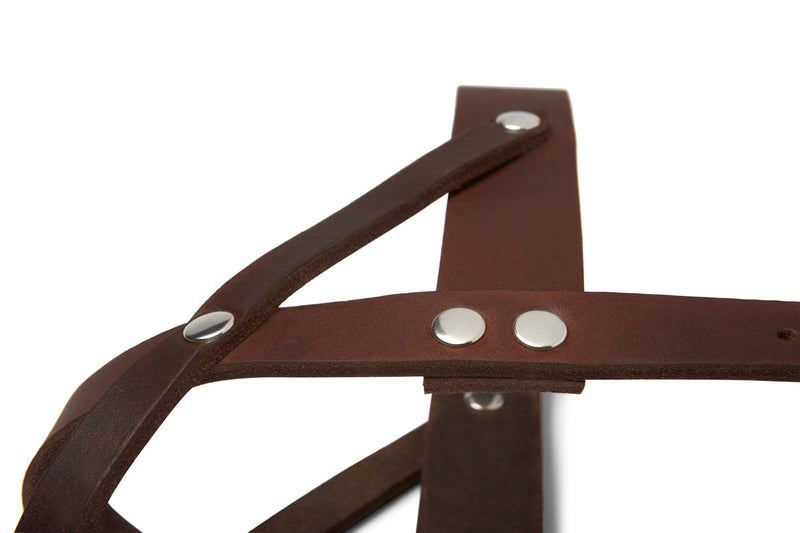 Load image into Gallery viewer, Butter Leather Dog Harness - Classic Brown by Molly And Stitch US
