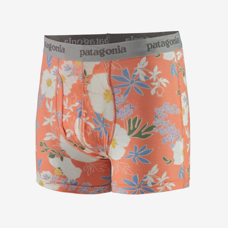 Load image into Gallery viewer, Patagonia Mens Essential Boxer Briefs - 3"