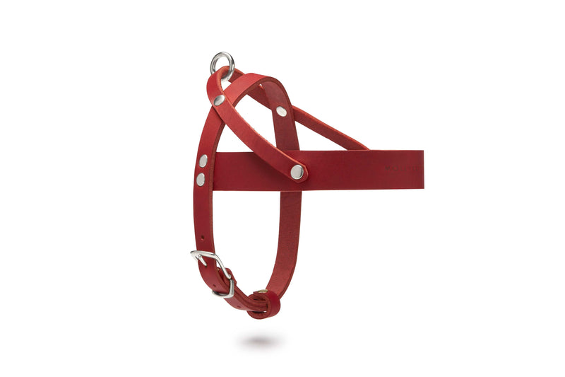 Load image into Gallery viewer, Butter Leather Dog Harness - Chili Red by Molly And Stitch US