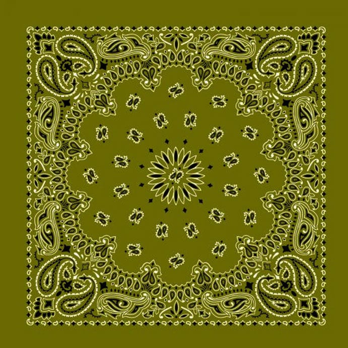 Load image into Gallery viewer, Cotton Bandanas