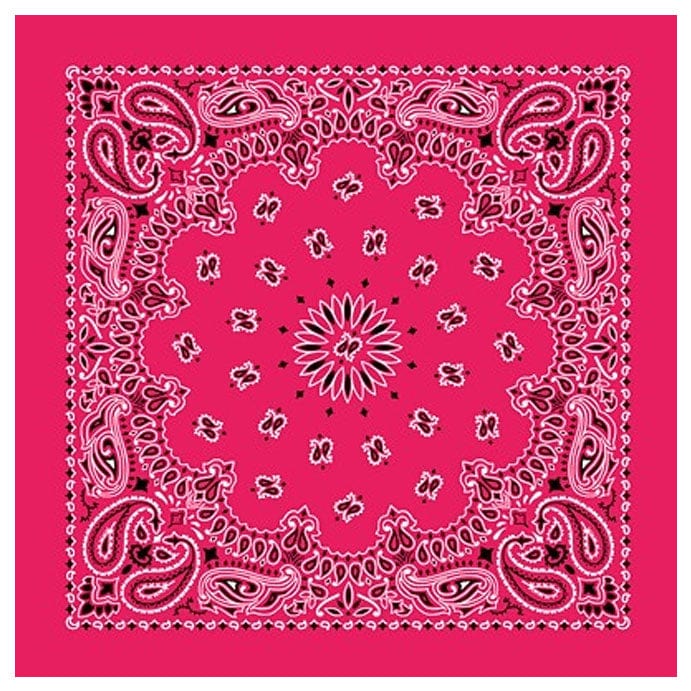 Load image into Gallery viewer, Cotton Bandanas