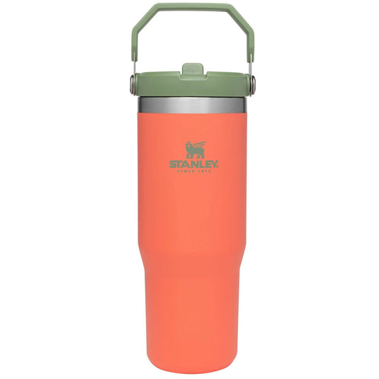 Stanley IceFlow Flip Straw Tumbler | 30 OZ