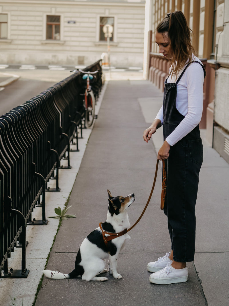 Load image into Gallery viewer, Butter Leather Dog Harness - Classic Brown by Molly And Stitch US
