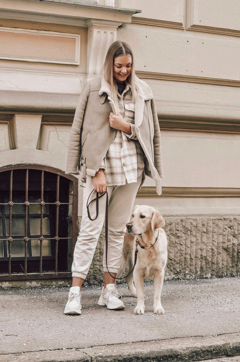 Load image into Gallery viewer, Butter Leather City Dog Leash - Classic Brown by Molly And Stitch US