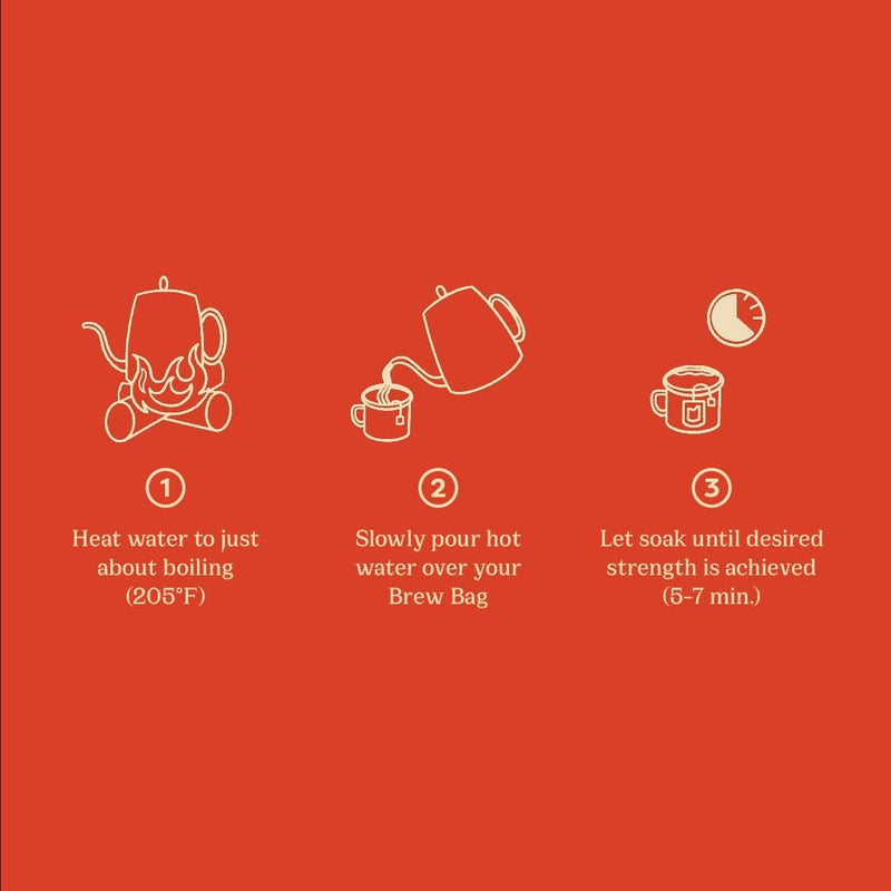 Load image into Gallery viewer, High Side Coffee Brew Bag Single Pack Light Roast