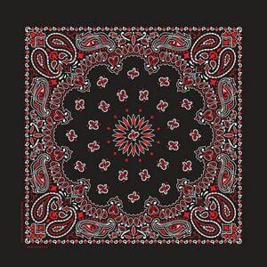 Load image into Gallery viewer, Cotton Bandanas