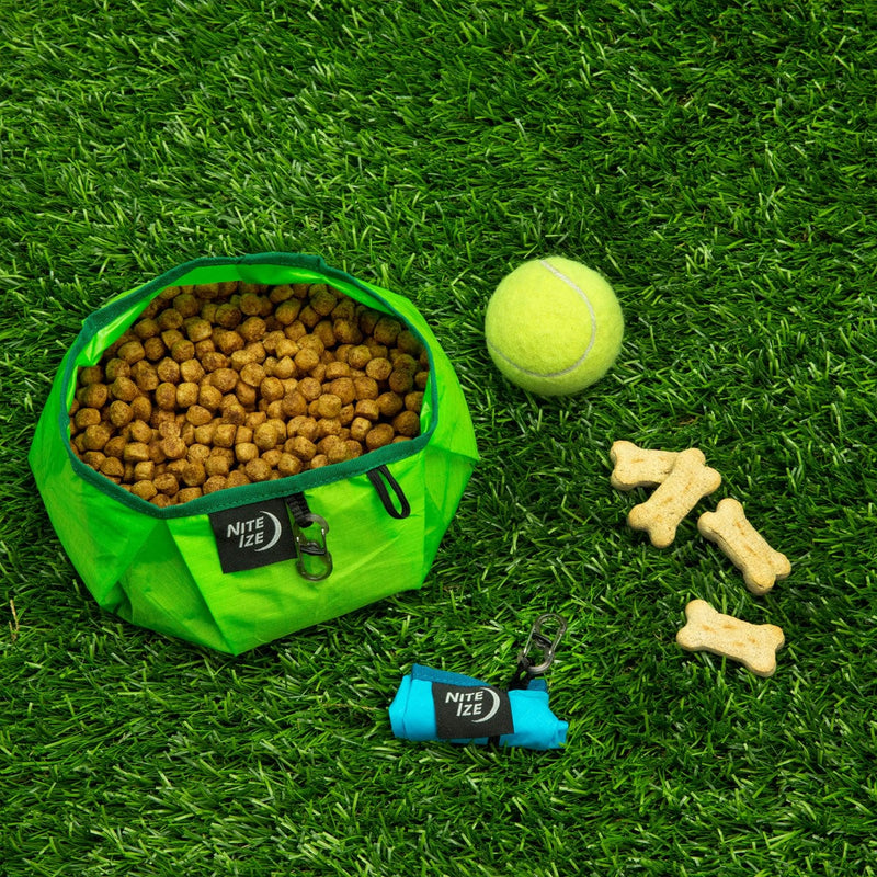 Load image into Gallery viewer, Nite Ize RadDog Collapsible Bowl