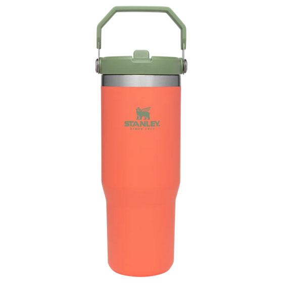 Load image into Gallery viewer, Stanley The IceFlow Flip Straw 20 oz. Tumbler
