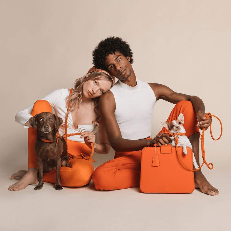 Load image into Gallery viewer, Butter Leather Dog Collar - Mango by Molly And Stitch US