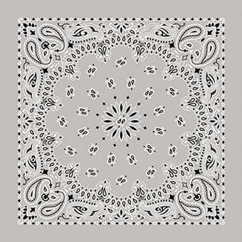 Load image into Gallery viewer, Cotton Bandanas