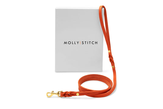 Butter Leather City Dog Leash - Mango by Molly And Stitch US