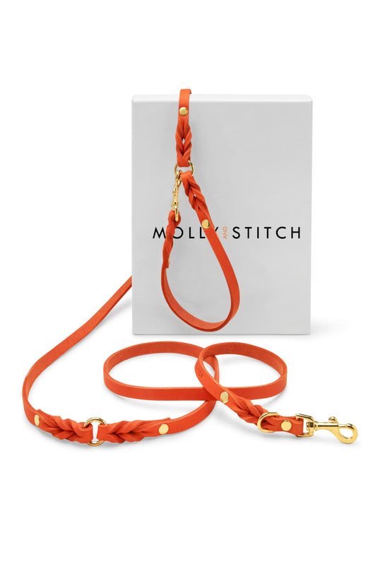 Butter Leather 3x Adjustable Dog Leash - Mango by Molly And Stitch US