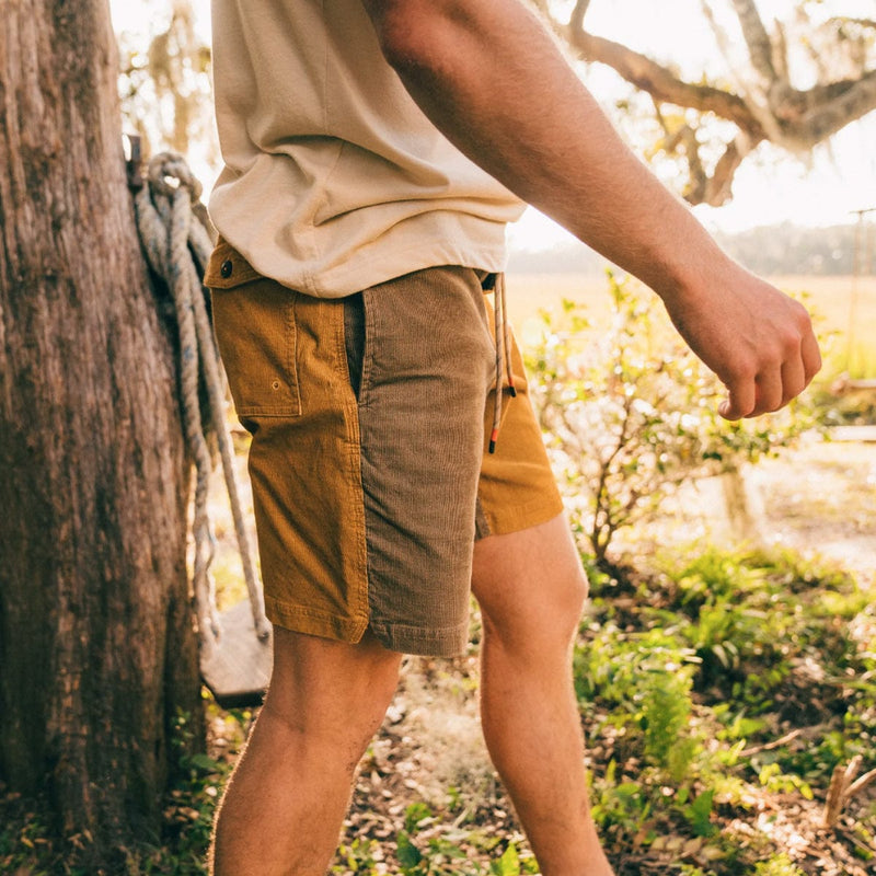 Load image into Gallery viewer, Howler Brothers Pressure Drop Cord Shorts