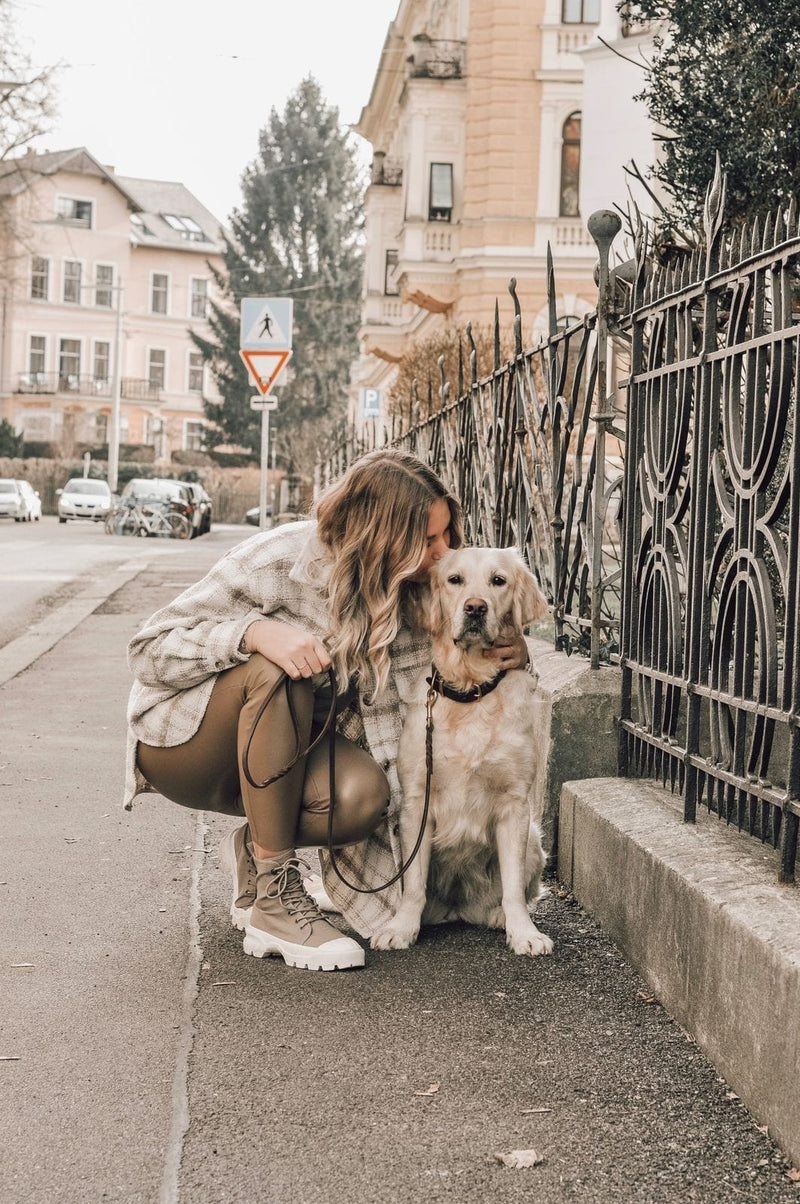 Load image into Gallery viewer, Butter Leather City Dog Leash - Classic Brown by Molly And Stitch US