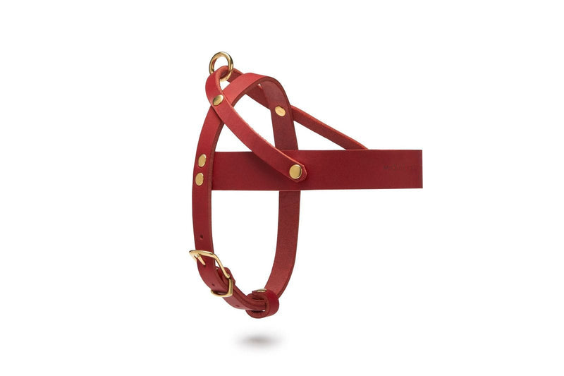 Load image into Gallery viewer, Butter Leather Dog Harness - Chili Red by Molly And Stitch US