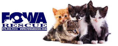 FOWA RESCUE Rescue Event: A Day of Feline Love and Compassion