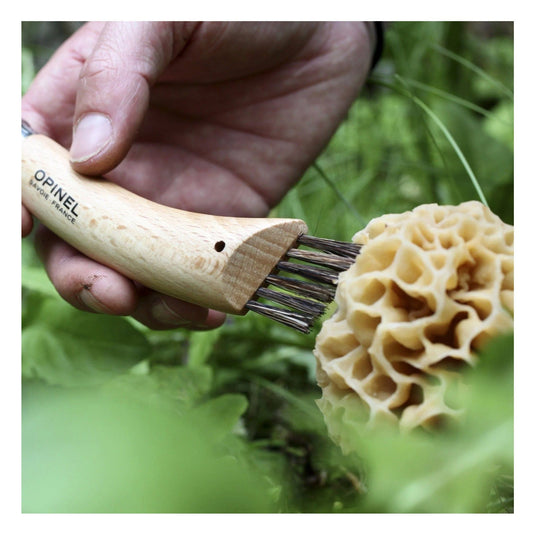 Opinel No.08 Stainless Steel Mushroom Knife