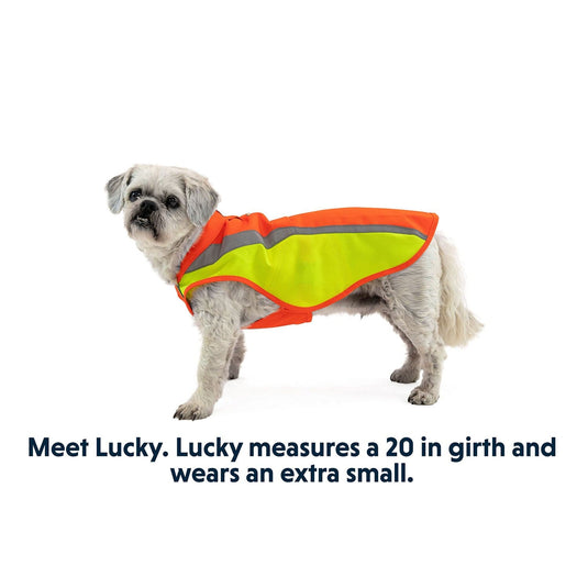 Ruffwear Lumenglow High-Vis Dog Jacket