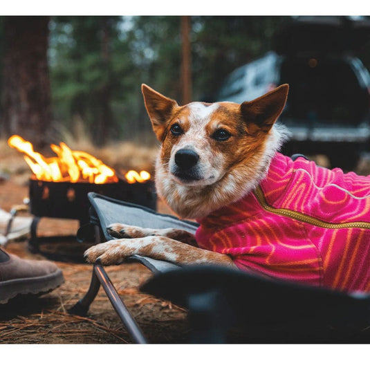 Ruffwear Mt. EverRest™ Dog Cot