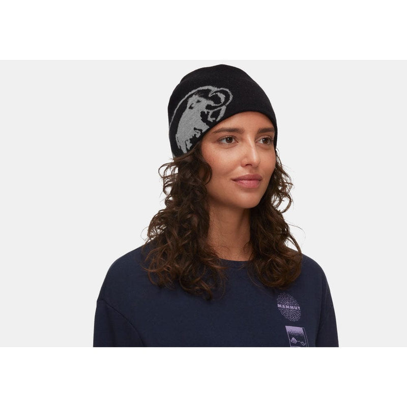 Mammut Haldigrat Beanie – mützen – einkaufen bei Switzerland Mammut Haldigrat Beanie – mützen – einkaufen bei Switzerland